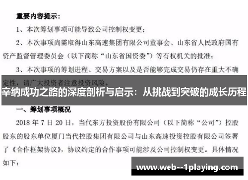 辛纳成功之路的深度剖析与启示：从挑战到突破的成长历程