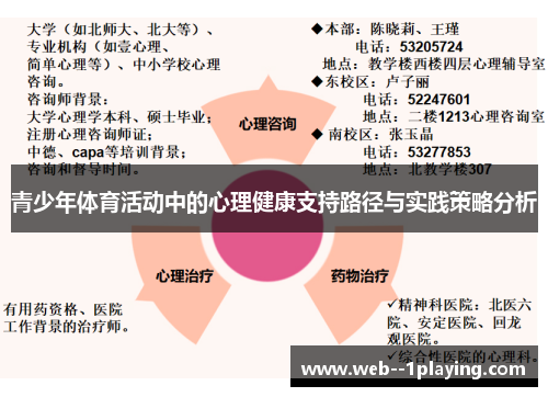 青少年体育活动中的心理健康支持路径与实践策略分析